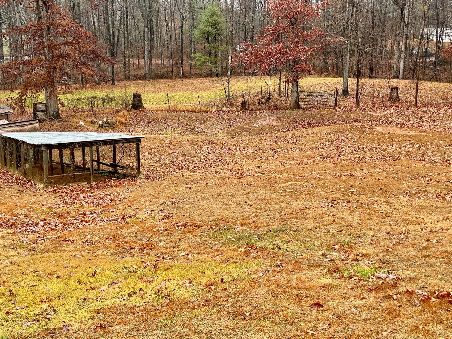 Image for 3 BR/2 BA Home w/Basement & Multiple Outbuildings on 5.2 +/- Acres in Madison County, VA--SELLING to the HIGHEST BIDDER!!