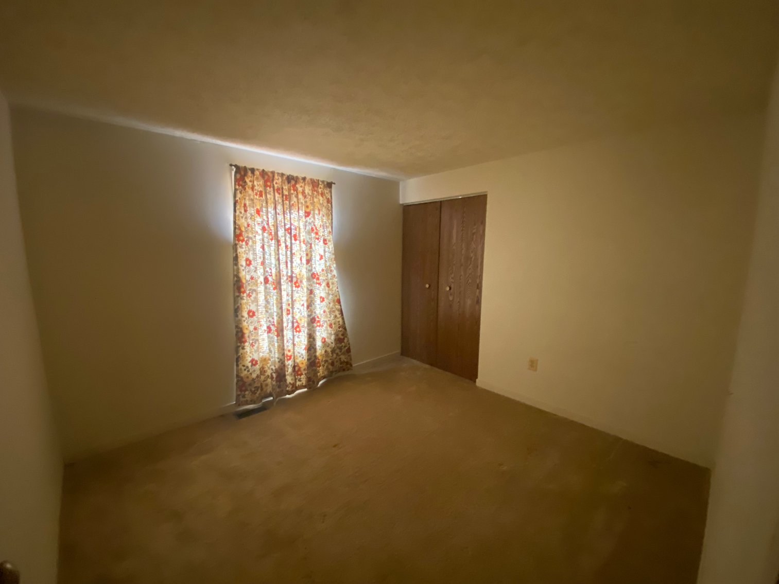 Image for 3 BR/2 BA Home w/Basement & Multiple Outbuildings on 5.2 +/- Acres in Madison County, VA--SELLING to the HIGHEST BIDDER!!