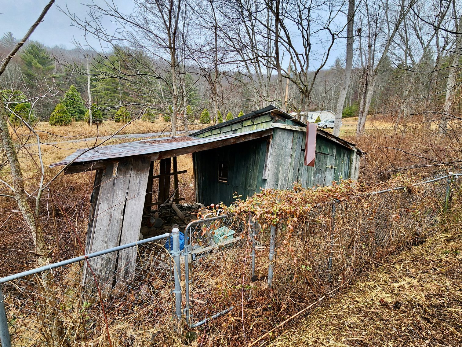 Image for 3 BR/1.5 BA Home w/Basement on .50 +/- Acres in Bland, VA--SELLING to the HIGHEST BIDDER via ONLINE ONLY BIDDING!!