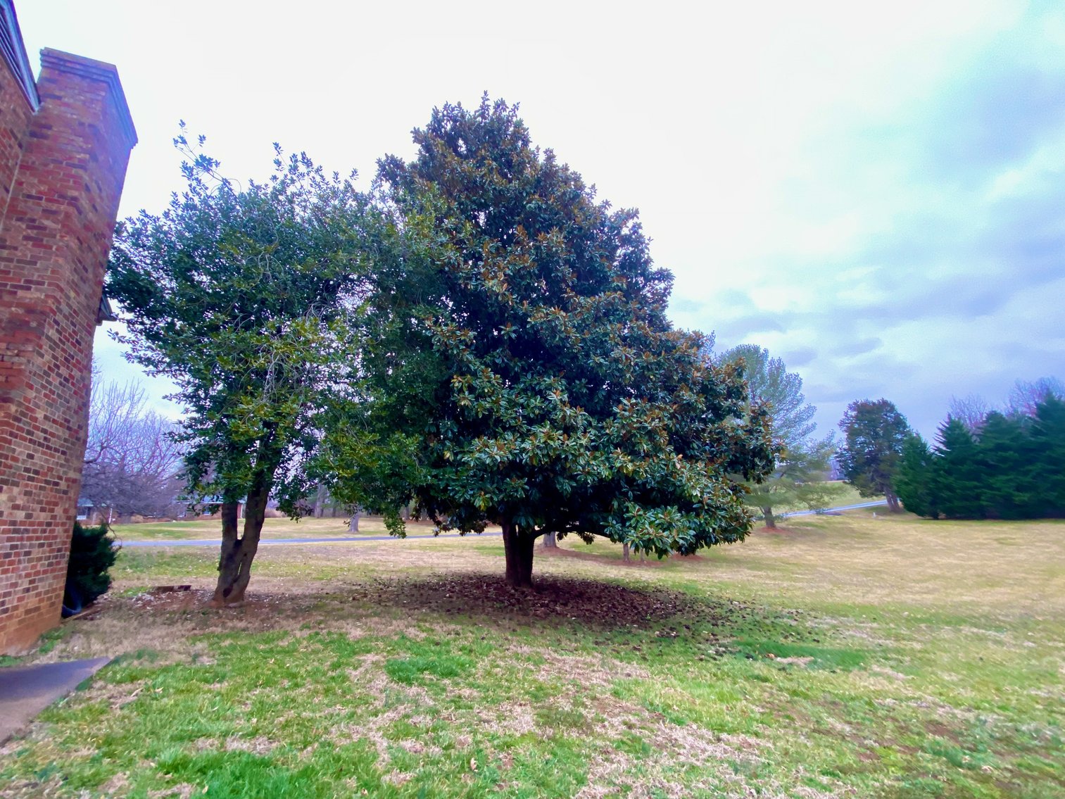 Image for 3 BR/2.5 BA Brick Home w/Walk-Out Lower Level & Detached Shop on 1.7 +/- Acres Minutes From Downtown Culpeper, VA--SELLING to the HIGHEST BIDDER!!