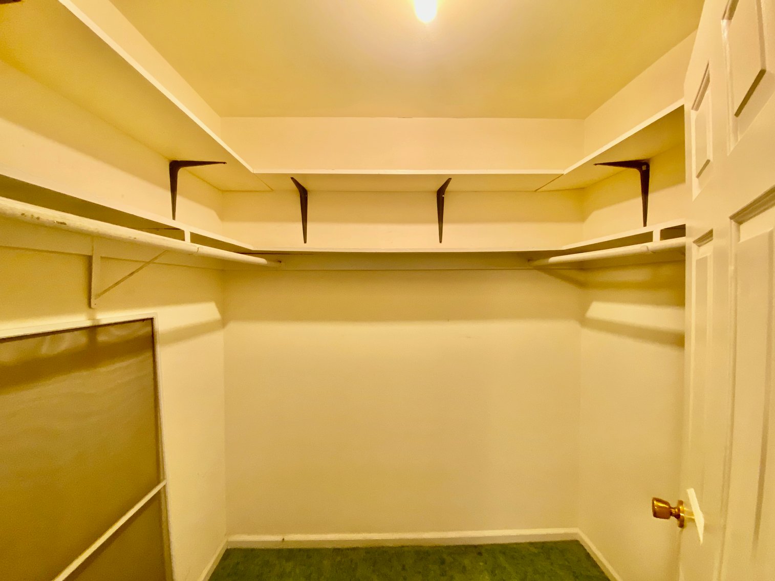 Image for 3 BR/2.5 BA Brick Home w/Walk-Out Lower Level & Detached Shop on 1.7 +/- Acres Minutes From Downtown Culpeper, VA--SELLING to the HIGHEST BIDDER!!