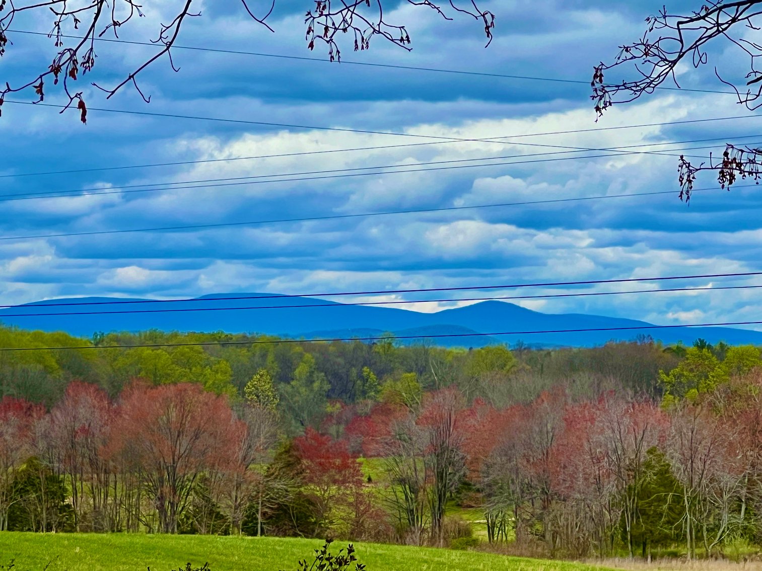 Image for 2 BR/1 BA Home on 2 +/- Acres w/Scenic Mountain Views in Culpeper County, VA--SELLING to the HIGHEST BIDDER!!