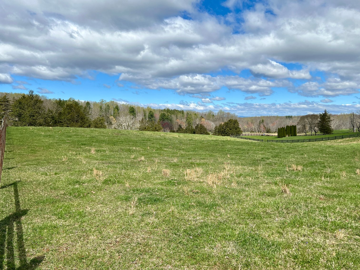 Image for 6.5 +/- Acre Parcel w/360' +/- of Road Frontage & Mountain Views in Culpeper County, VA--SELLING to the HIGHEST BIDDER!!
