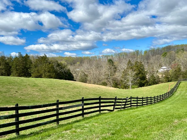 Image for 6.5 +/- Acre Parcel w/360' +/- of Road Frontage & Mountain Views in Culpeper County, VA--SELLING to the HIGHEST BIDDER!!