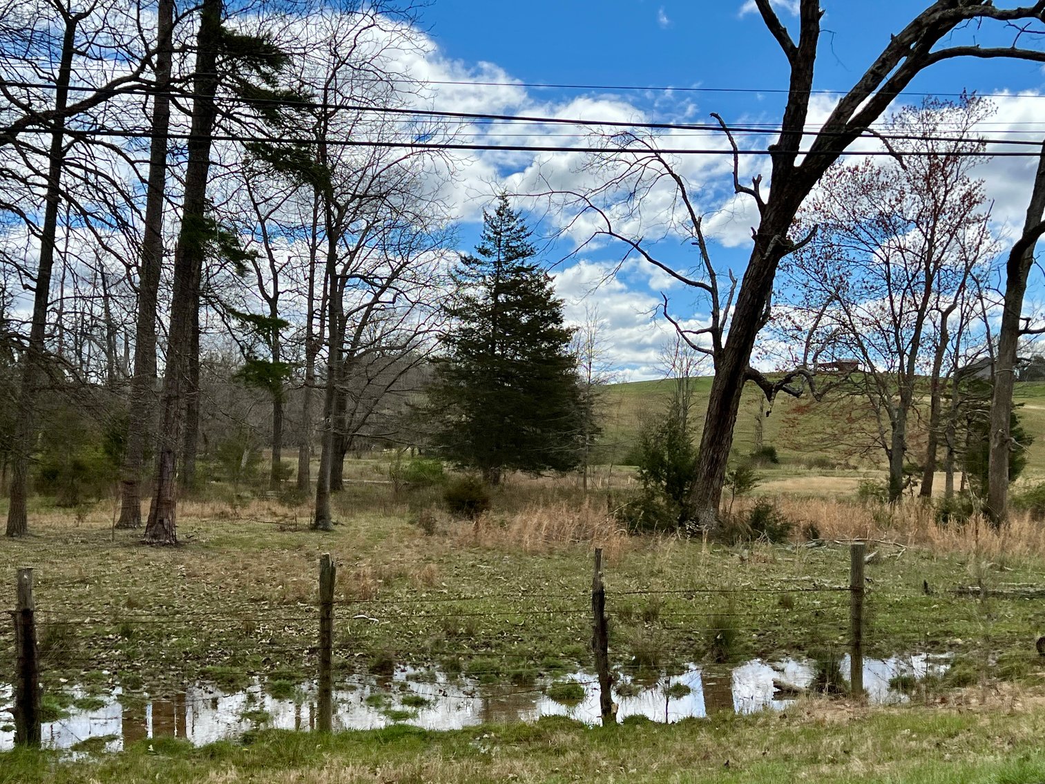 Image for 77.09 +/- Acre Parcel w/3,400' +/- of Total Road Frontage on 2 Roads, Barn/Outbuildings & Mountain Views in Culpeper County, VA--SELLING to the HIGHEST BIDDER!!
