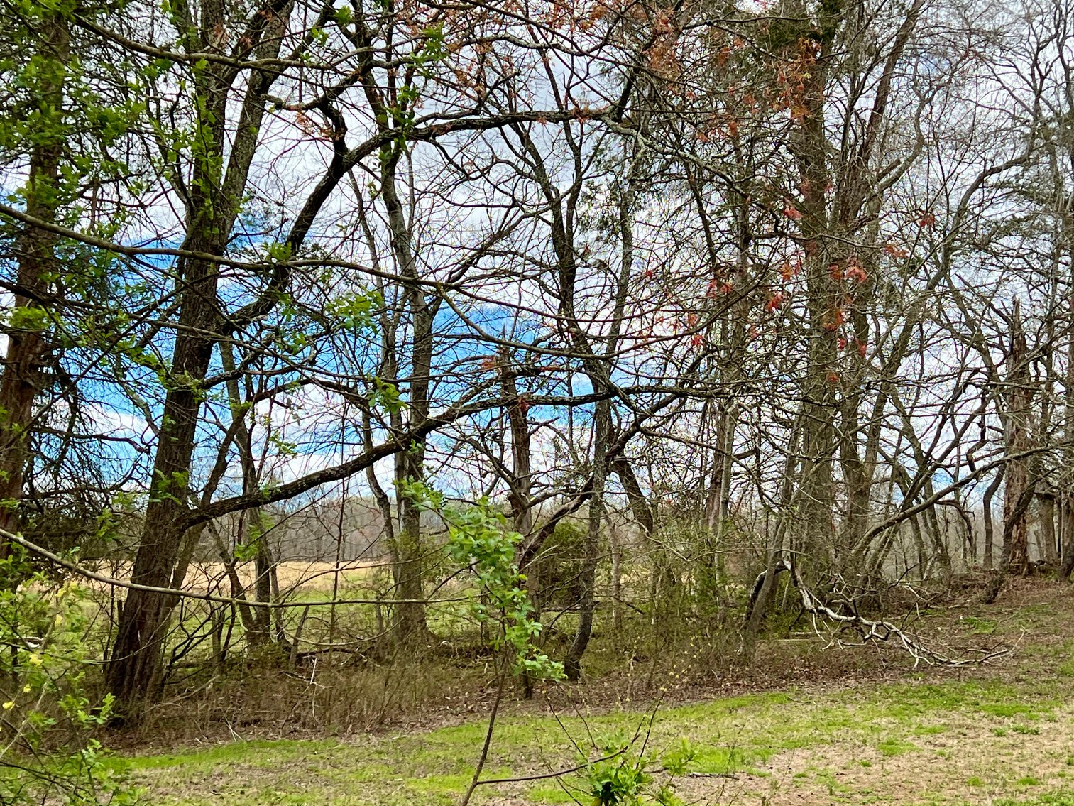 Image for 77.09 +/- Acre Parcel w/3,400' +/- of Total Road Frontage on 2 Roads, Barn/Outbuildings & Mountain Views in Culpeper County, VA--SELLING to the HIGHEST BIDDER!!