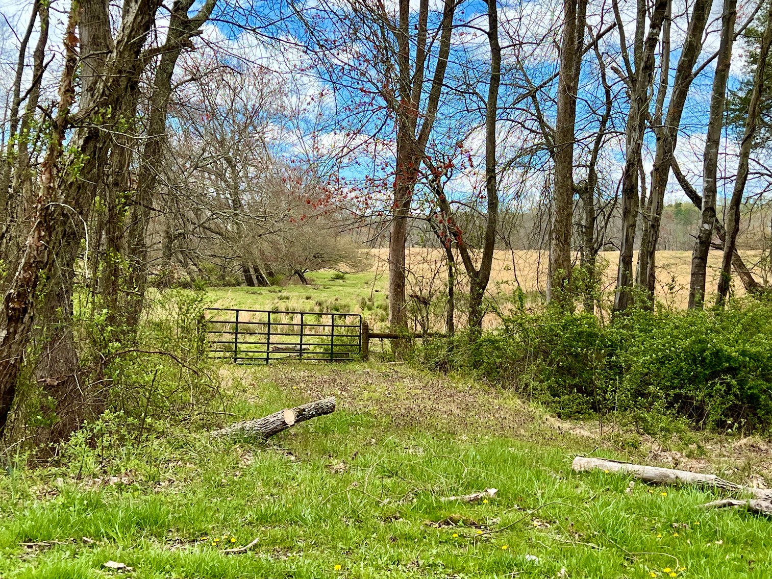 Image for 77.09 +/- Acre Parcel w/3,400' +/- of Total Road Frontage on 2 Roads, Barn/Outbuildings & Mountain Views in Culpeper County, VA--SELLING to the HIGHEST BIDDER!!