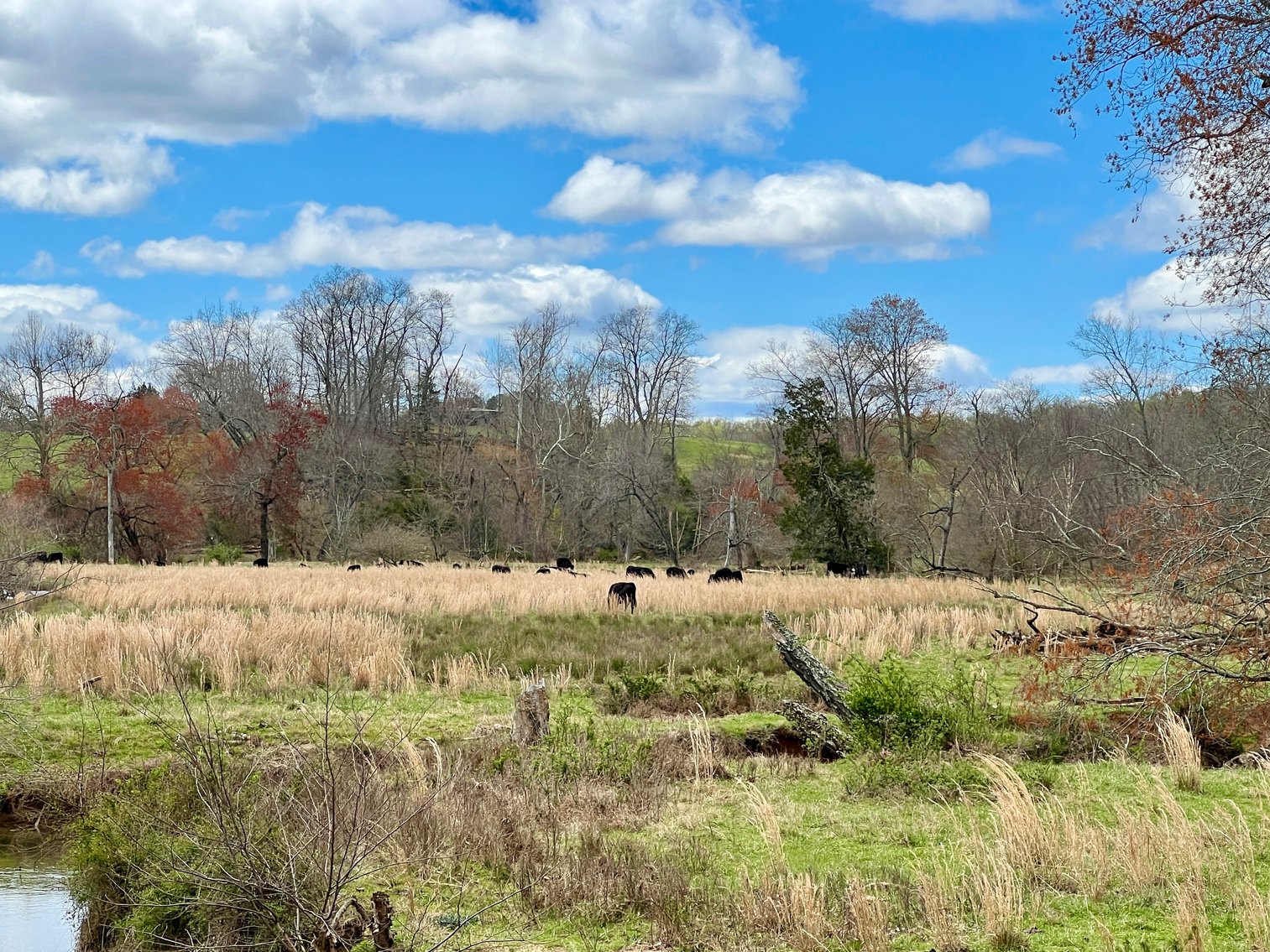 Image for 77.09 +/- Acre Parcel w/3,400' +/- of Total Road Frontage on 2 Roads, Barn/Outbuildings & Mountain Views in Culpeper County, VA--SELLING to the HIGHEST BIDDER!!