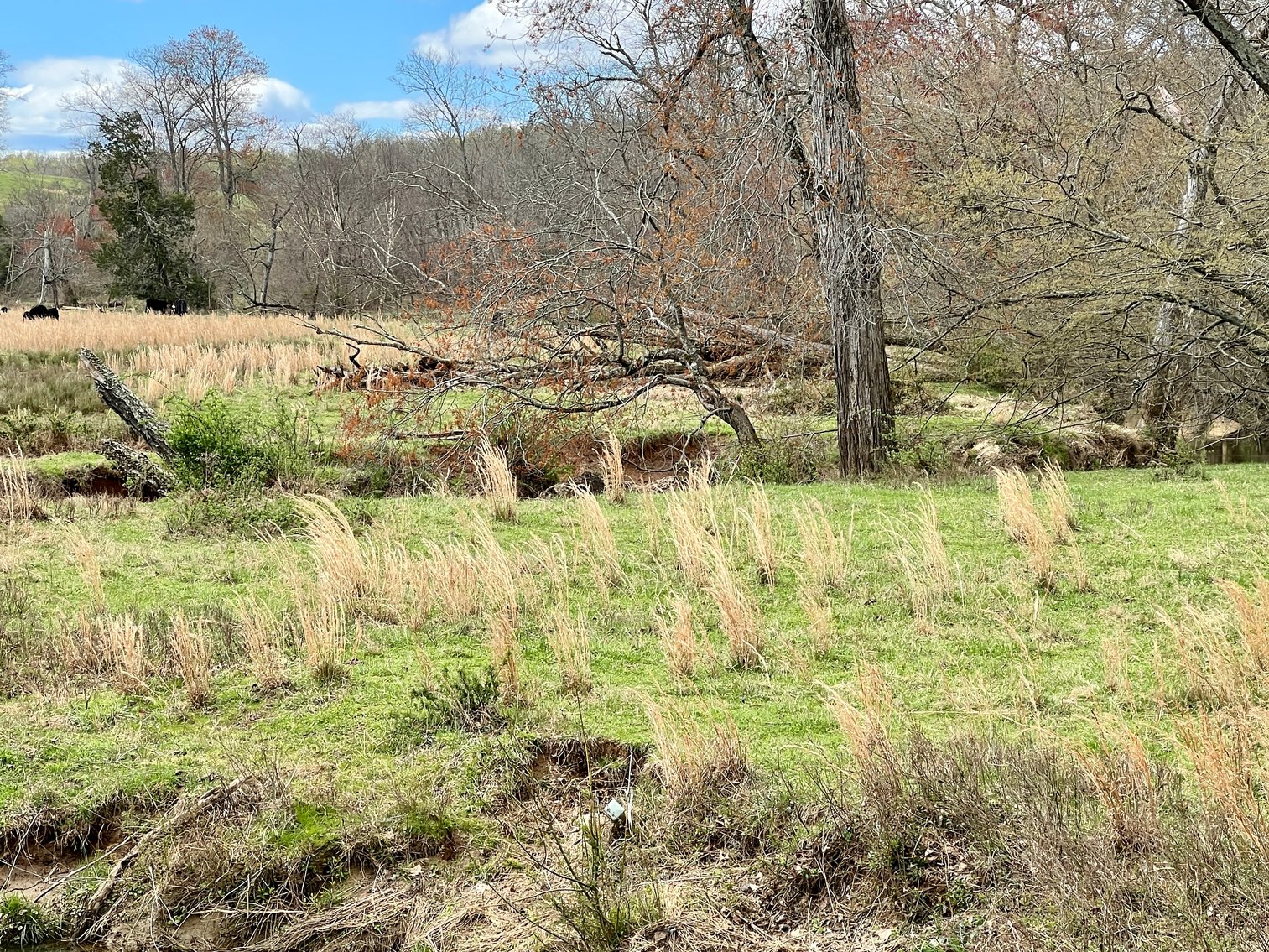 Image for 77.09 +/- Acre Parcel w/3,400' +/- of Total Road Frontage on 2 Roads, Barn/Outbuildings & Mountain Views in Culpeper County, VA--SELLING to the HIGHEST BIDDER!!