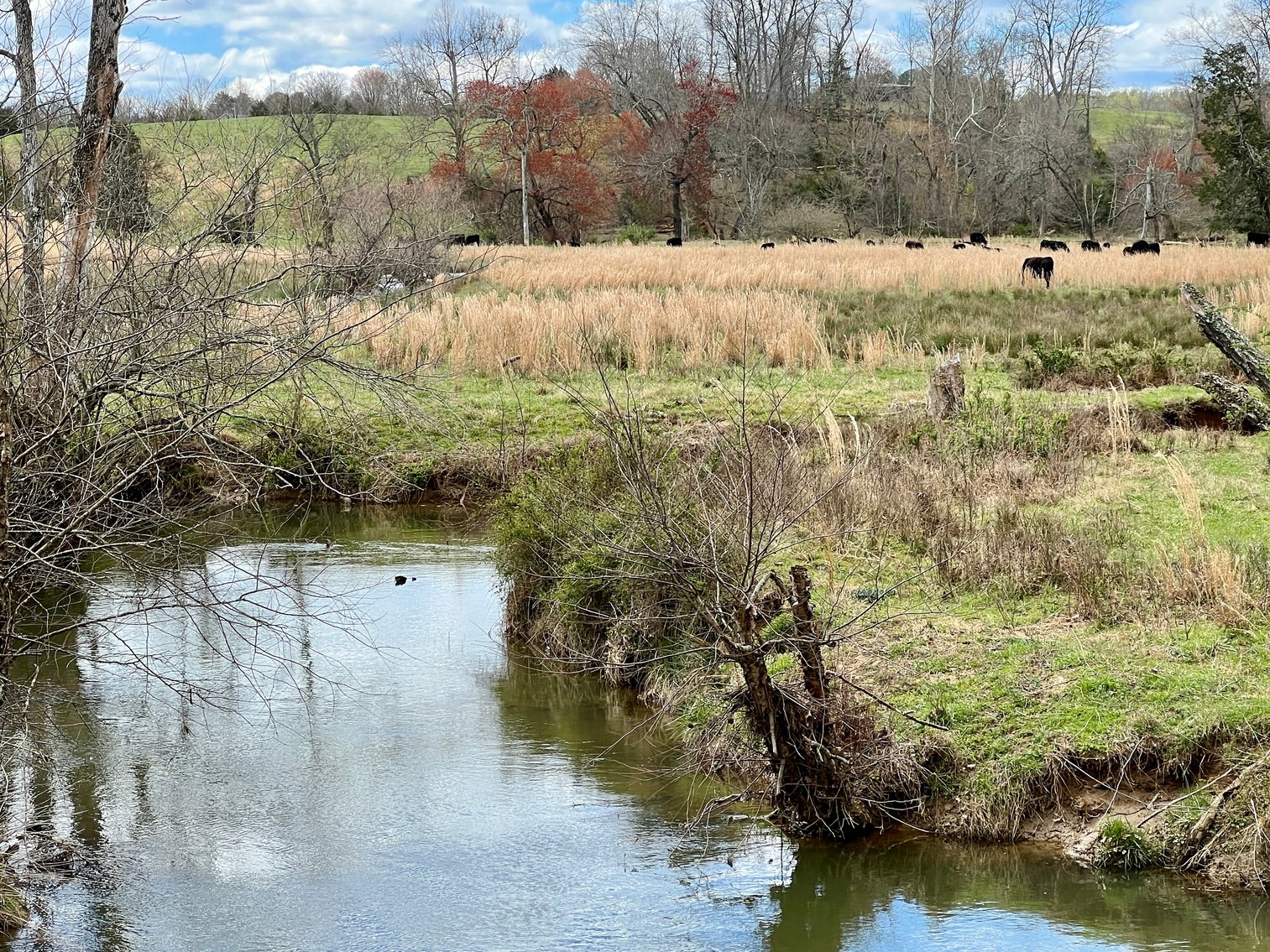 Image for 77.09 +/- Acre Parcel w/3,400' +/- of Total Road Frontage on 2 Roads, Barn/Outbuildings & Mountain Views in Culpeper County, VA--SELLING to the HIGHEST BIDDER!!