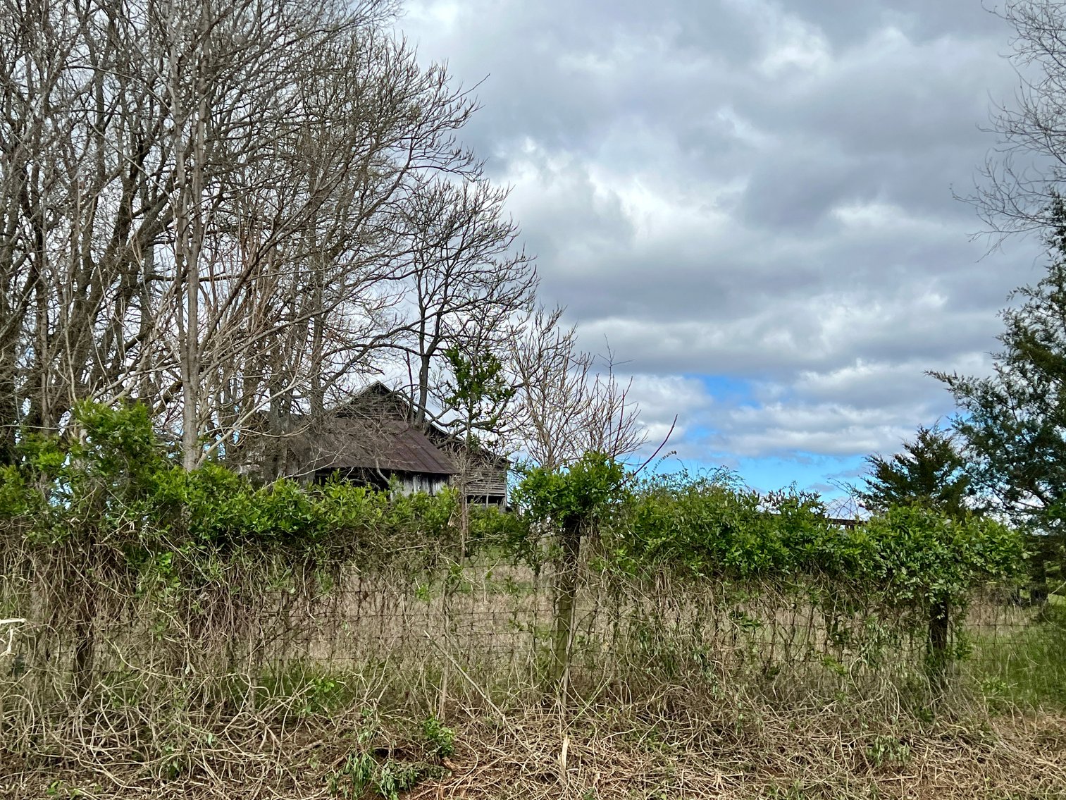 Image for 77.09 +/- Acre Parcel w/3,400' +/- of Total Road Frontage on 2 Roads, Barn/Outbuildings & Mountain Views in Culpeper County, VA--SELLING to the HIGHEST BIDDER!!