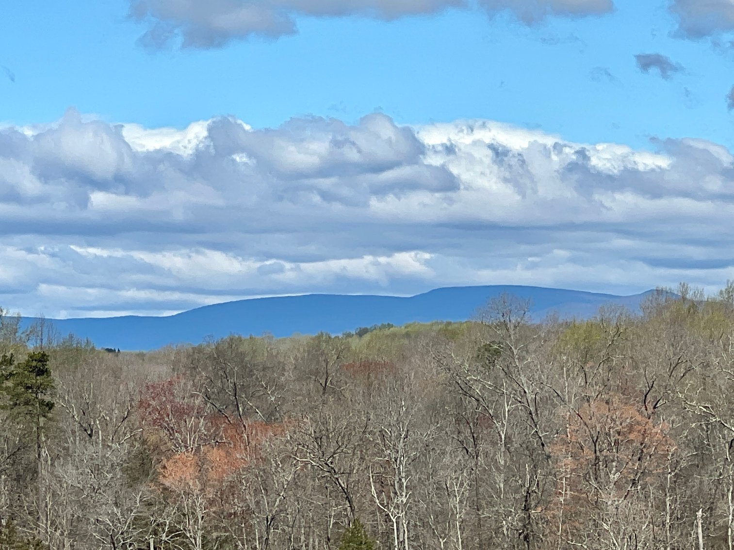 Image for 77.09 +/- Acre Parcel w/3,400' +/- of Total Road Frontage on 2 Roads, Barn/Outbuildings & Mountain Views in Culpeper County, VA--SELLING to the HIGHEST BIDDER!!