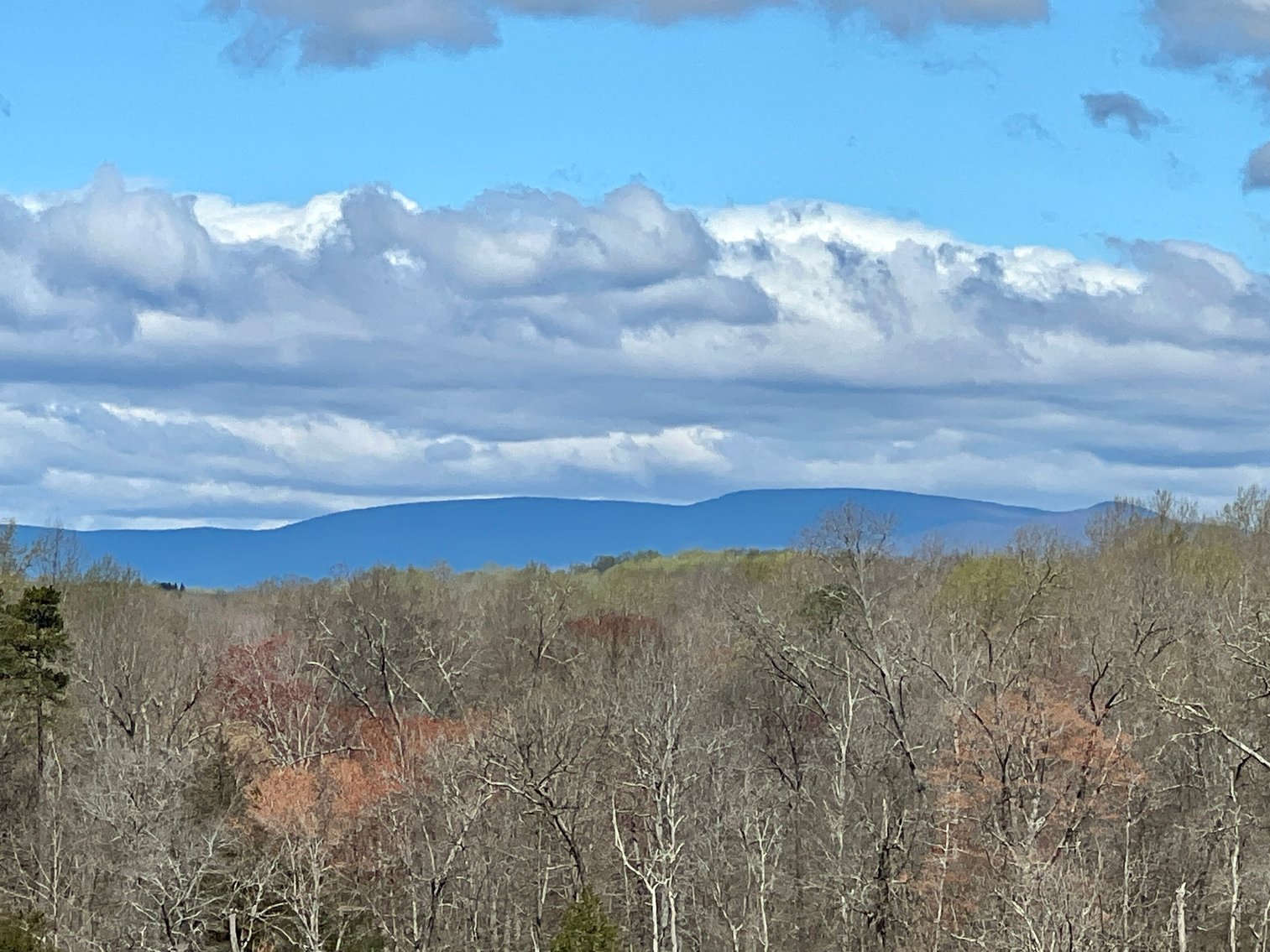 Image for 77.09 +/- Acre Parcel w/3,400' +/- of Total Road Frontage on 2 Roads, Barn/Outbuildings & Mountain Views in Culpeper County, VA--SELLING to the HIGHEST BIDDER!!