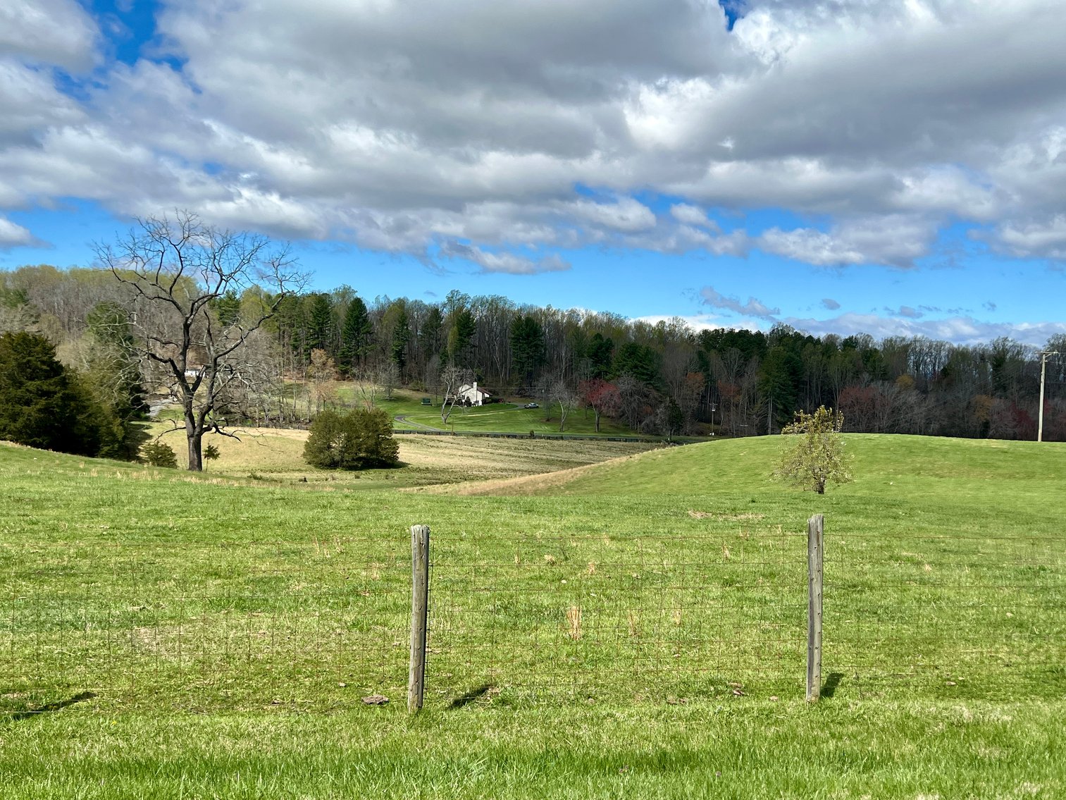 Image for 77.09 +/- Acre Parcel w/3,400' +/- of Total Road Frontage on 2 Roads, Barn/Outbuildings & Mountain Views in Culpeper County, VA--SELLING to the HIGHEST BIDDER!!