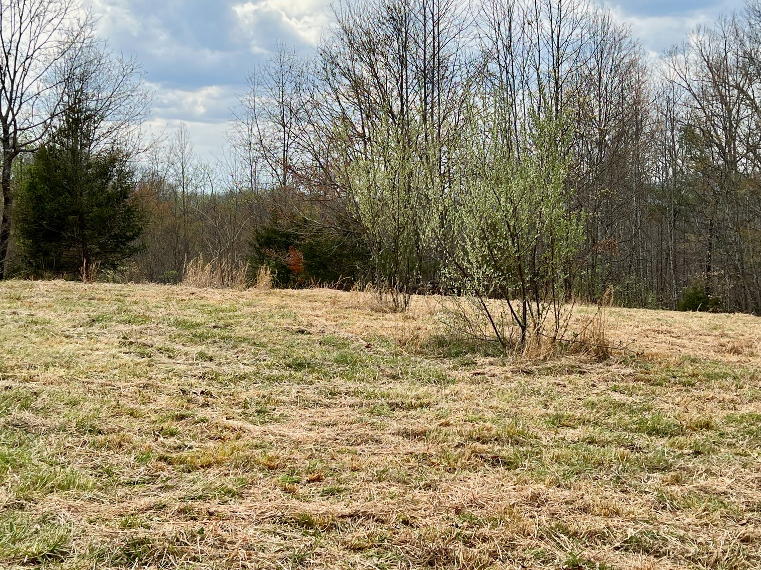 Image for 10.43 +/- Aces w/Large Barn & Well in Greene County, VA--SELLING to the HIGHEST BIDDER via ONLINE ONLY BIDDING!!