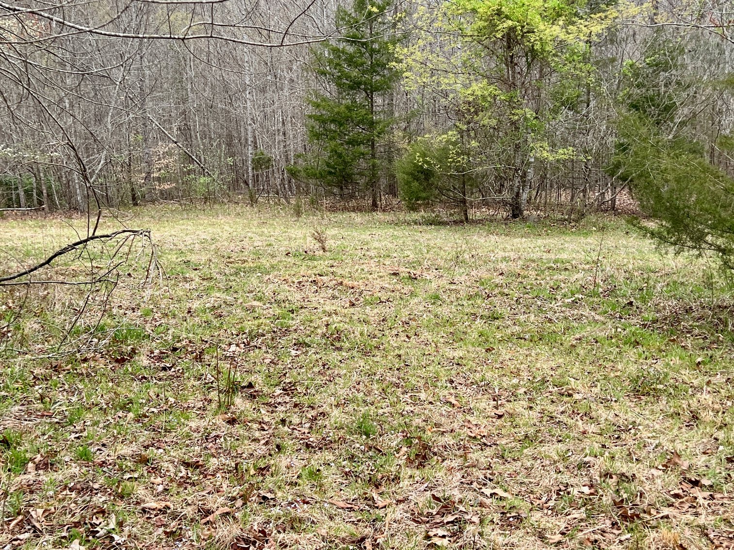 Image for 10.43 +/- Aces w/Large Barn & Well in Greene County, VA--SELLING to the HIGHEST BIDDER via ONLINE ONLY BIDDING!!