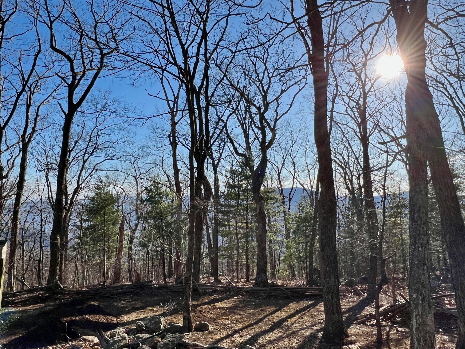 Image for 4 BR/1.5 BA Period Correct Relocated 1850's Log Cabin on 10 +/- Acres w/Amazing Mountain Views in Greene County, VA--ONLINE ONLY BIDDING!!