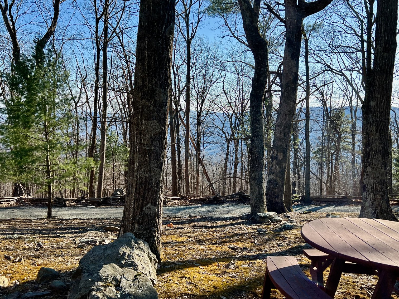 Image for 4 BR/1.5 BA Period Correct Relocated 1850's Log Cabin on 10 +/- Acres w/Amazing Mountain Views in Greene County, VA--ONLINE ONLY BIDDING!!