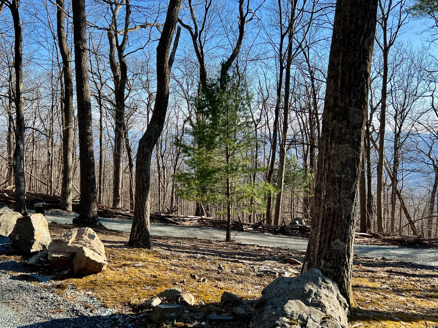 Image for 4 BR/1.5 BA Period Correct Relocated 1850's Log Cabin on 10 +/- Acres w/Amazing Mountain Views in Greene County, VA--ONLINE ONLY BIDDING!!