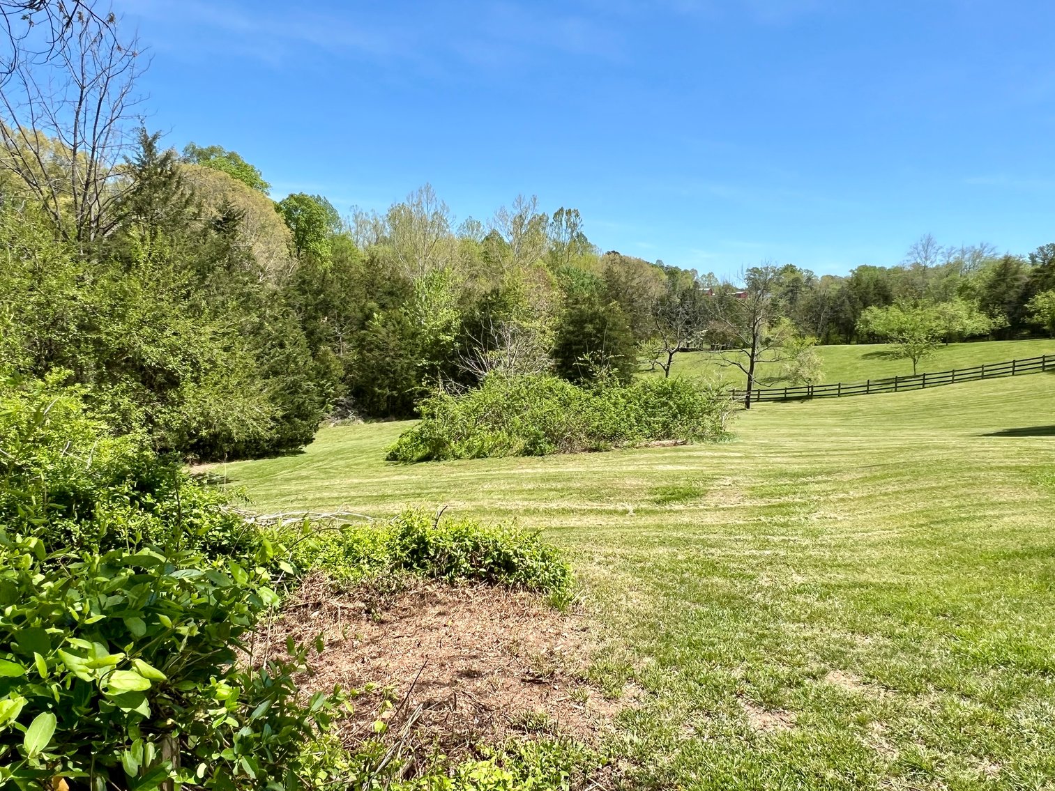 Image for 3 BR/1 BA Home w/Garage/Shop on 7 +/- Acres in Madison County, VA