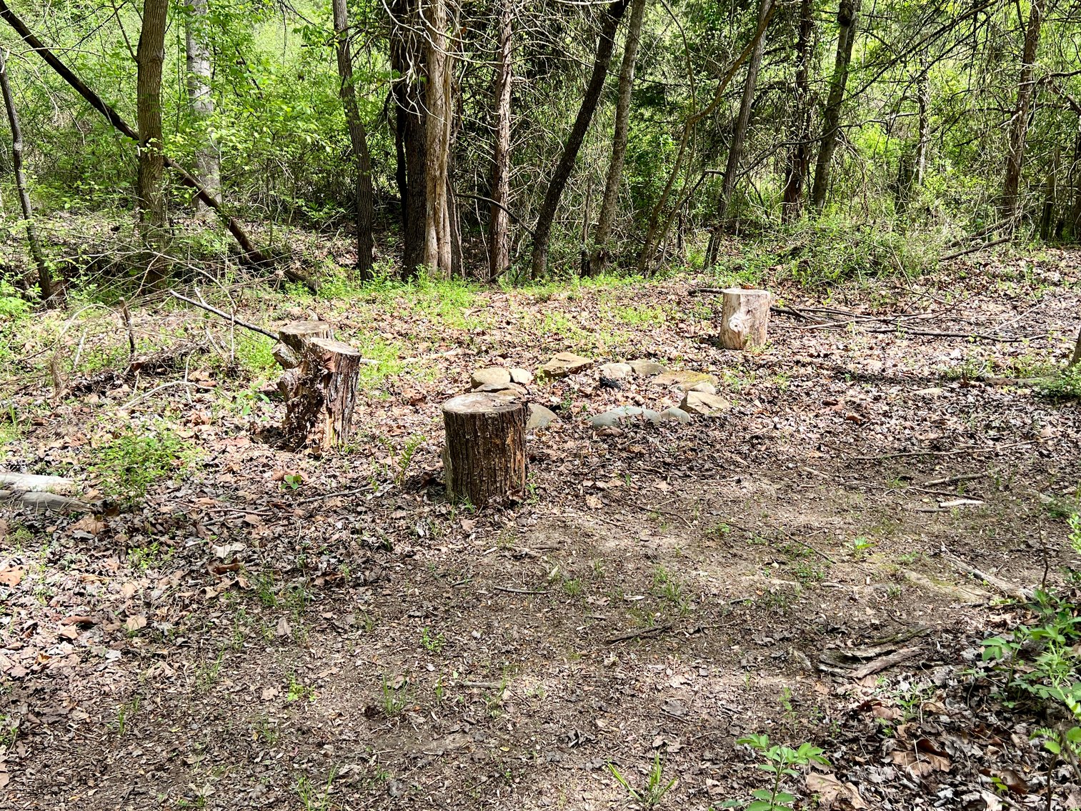 Image for 3 BR/1 BA Home w/Garage/Shop on 7 +/- Acres in Madison County, VA