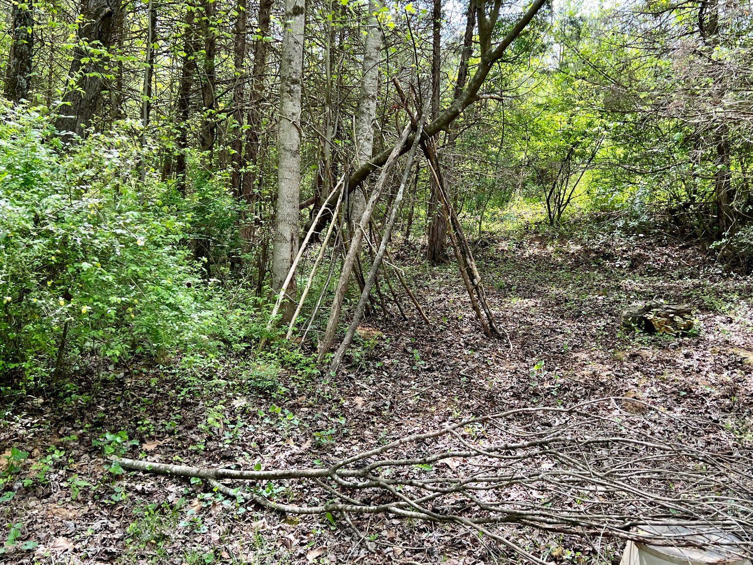 Image for 3 BR/1 BA Home w/Garage/Shop on 7 +/- Acres in Madison County, VA