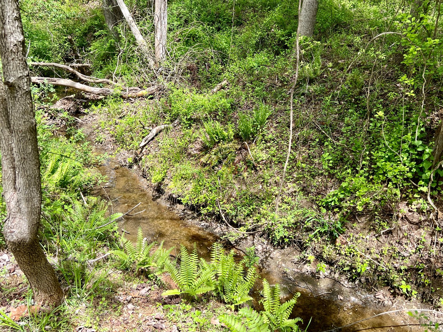 Image for 3 BR/1 BA Home w/Garage/Shop on 7 +/- Acres in Madison County, VA