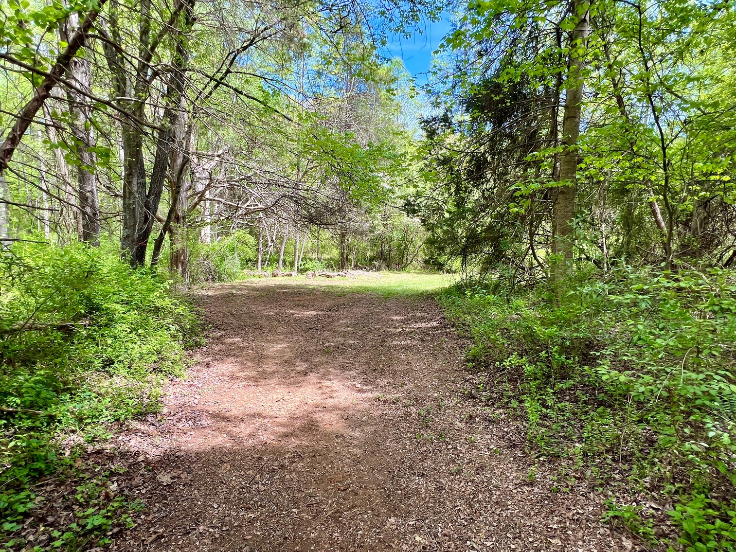 Image for 3 BR/1 BA Home w/Garage/Shop on 7 +/- Acres in Madison County, VA