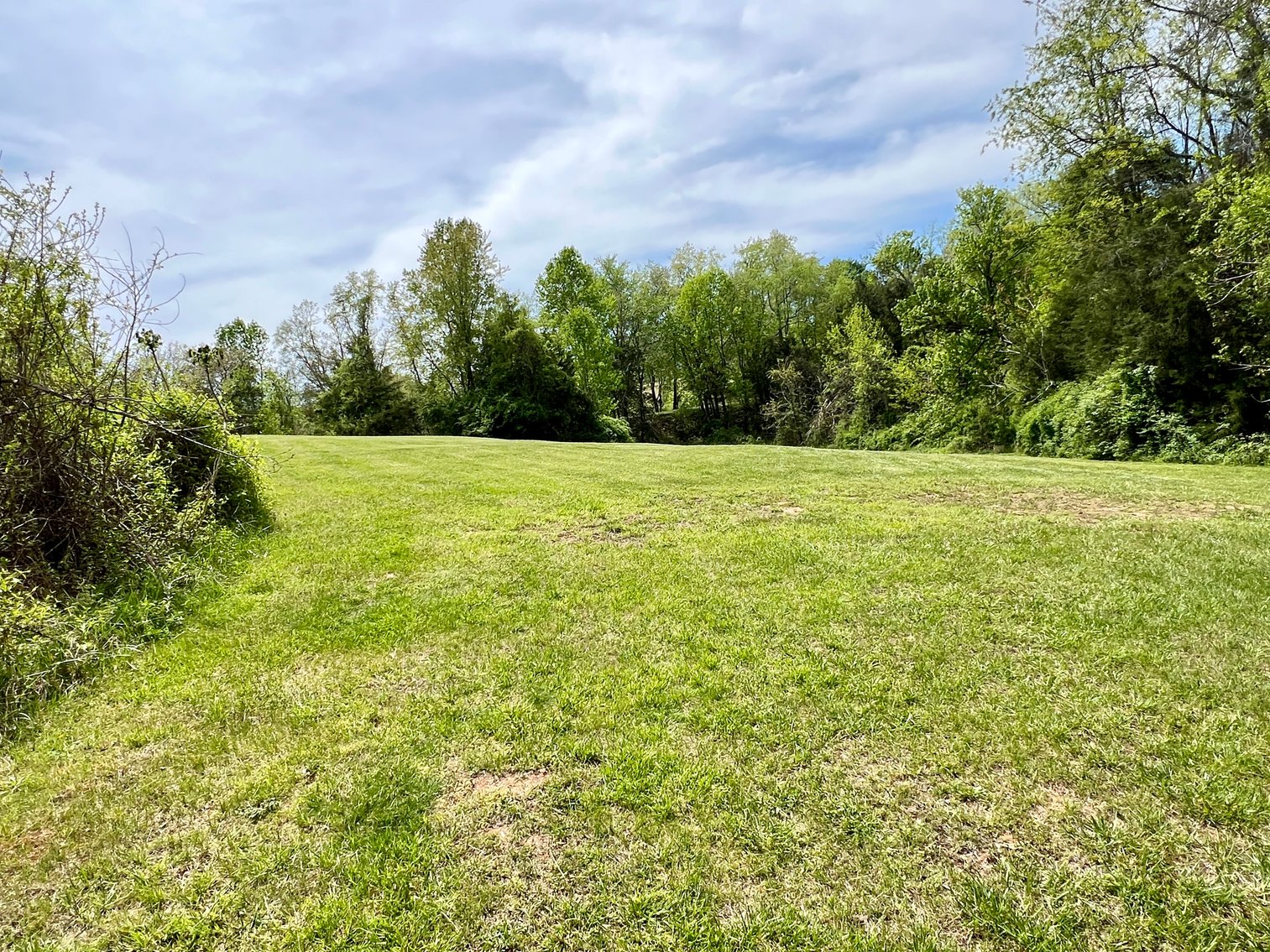 Image for 3 BR/1 BA Home w/Garage/Shop on 7 +/- Acres in Madison County, VA