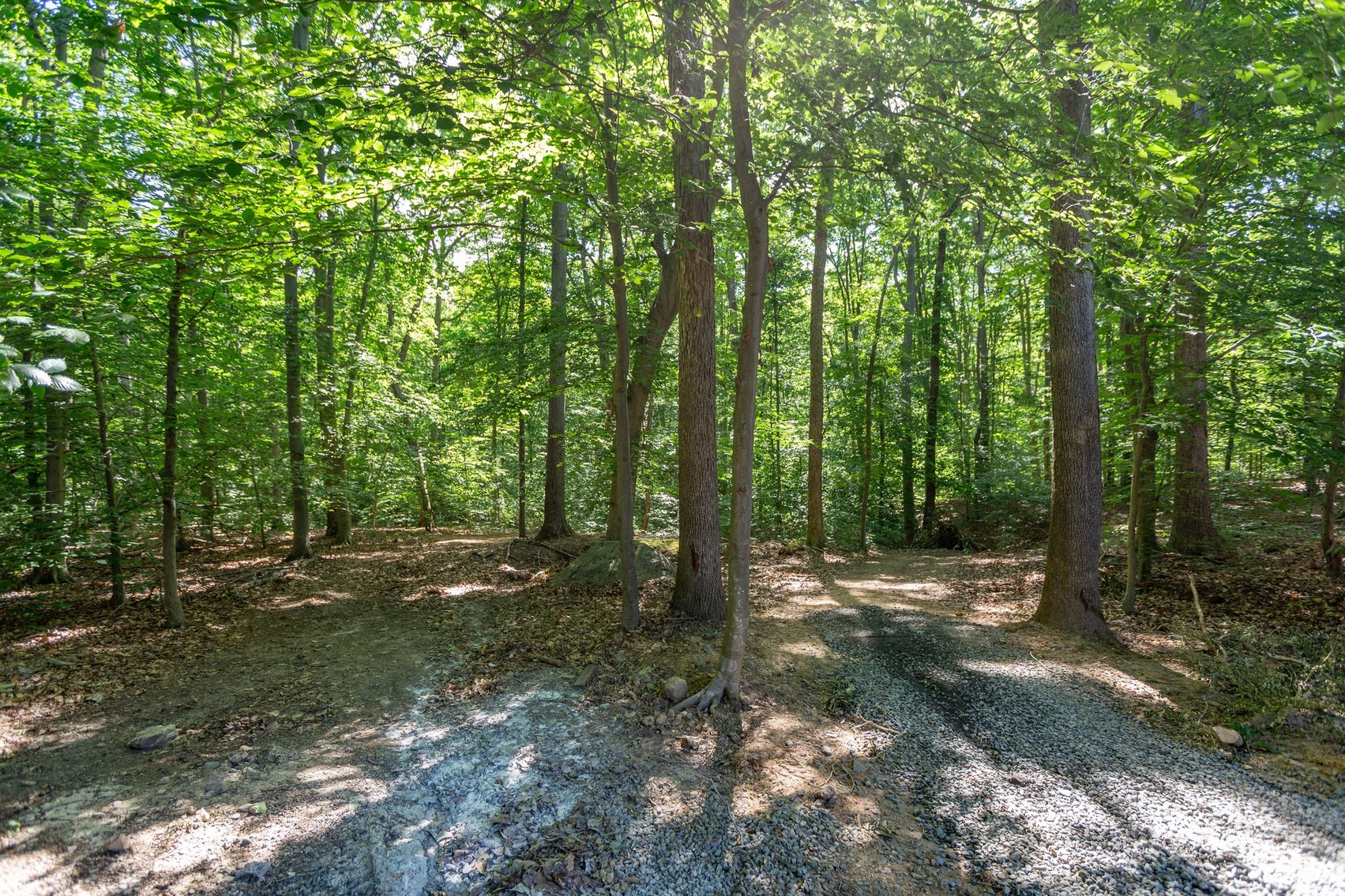 Image for 6 BR/5.5 BA Custom Home on .88 +/- Acre Lot in the 