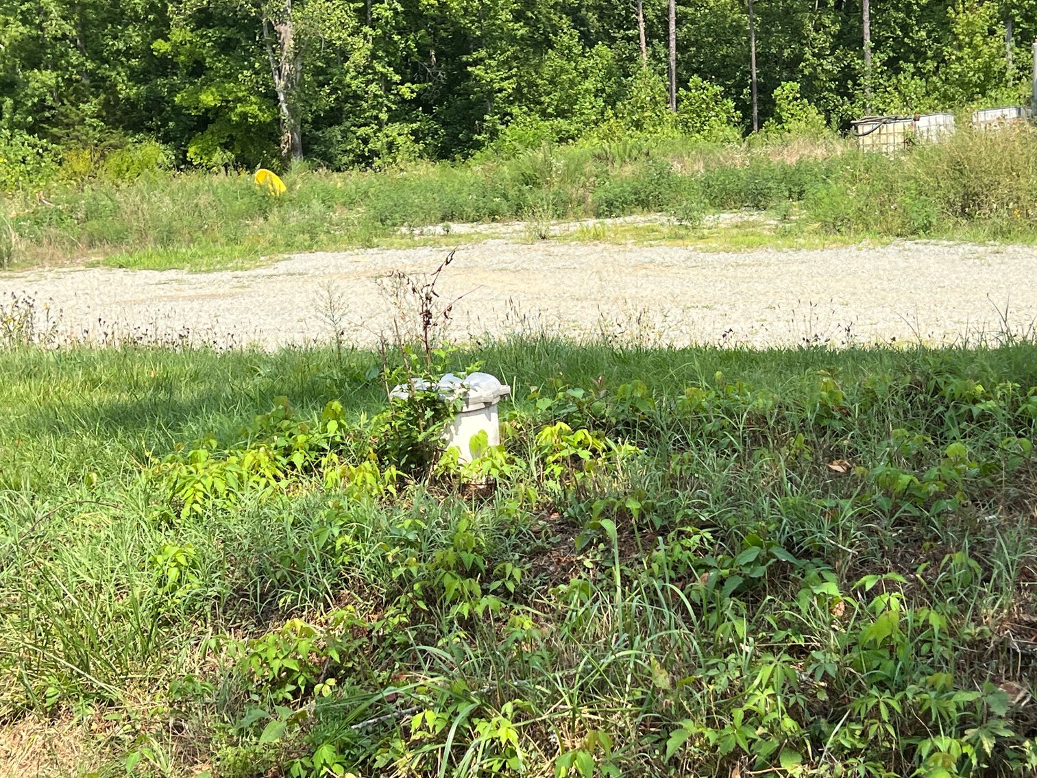 Image for 1,600 +/- Acres w/5 +/- Miles of South Anna River Frontage, 6 miles from I-64 & 30 Miles From Charlottesville & Short Pump, VA--Louisa County, VA