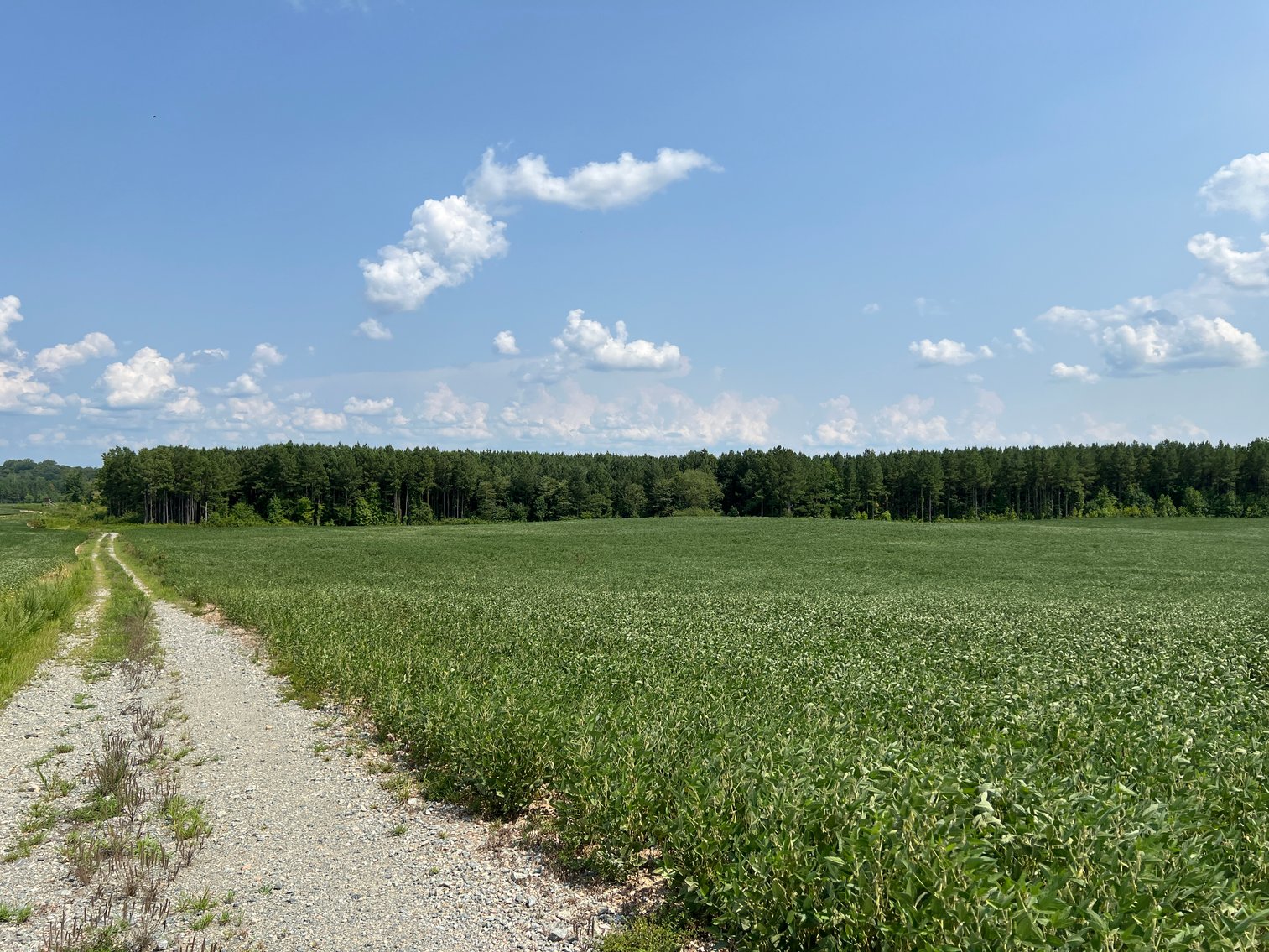 Image for 1,600 +/- Acres w/5 +/- Miles of South Anna River Frontage, 6 miles from I-64 & 30 Miles From Charlottesville & Short Pump, VA--Louisa County, VA