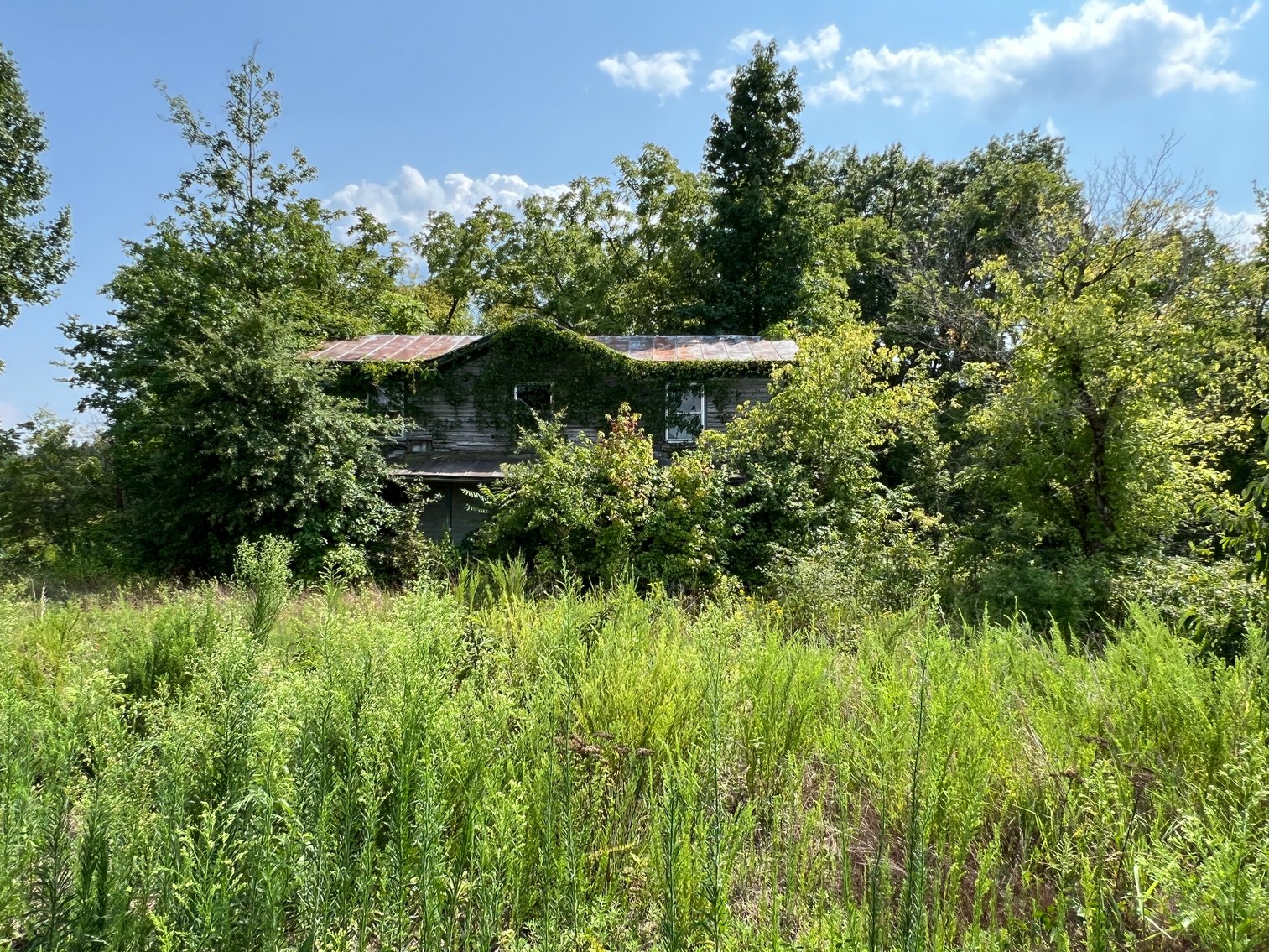 Image for 1,600 +/- Acres w/5 +/- Miles of South Anna River Frontage, 6 miles from I-64 & 30 Miles From Charlottesville & Short Pump, VA--Louisa County, VA