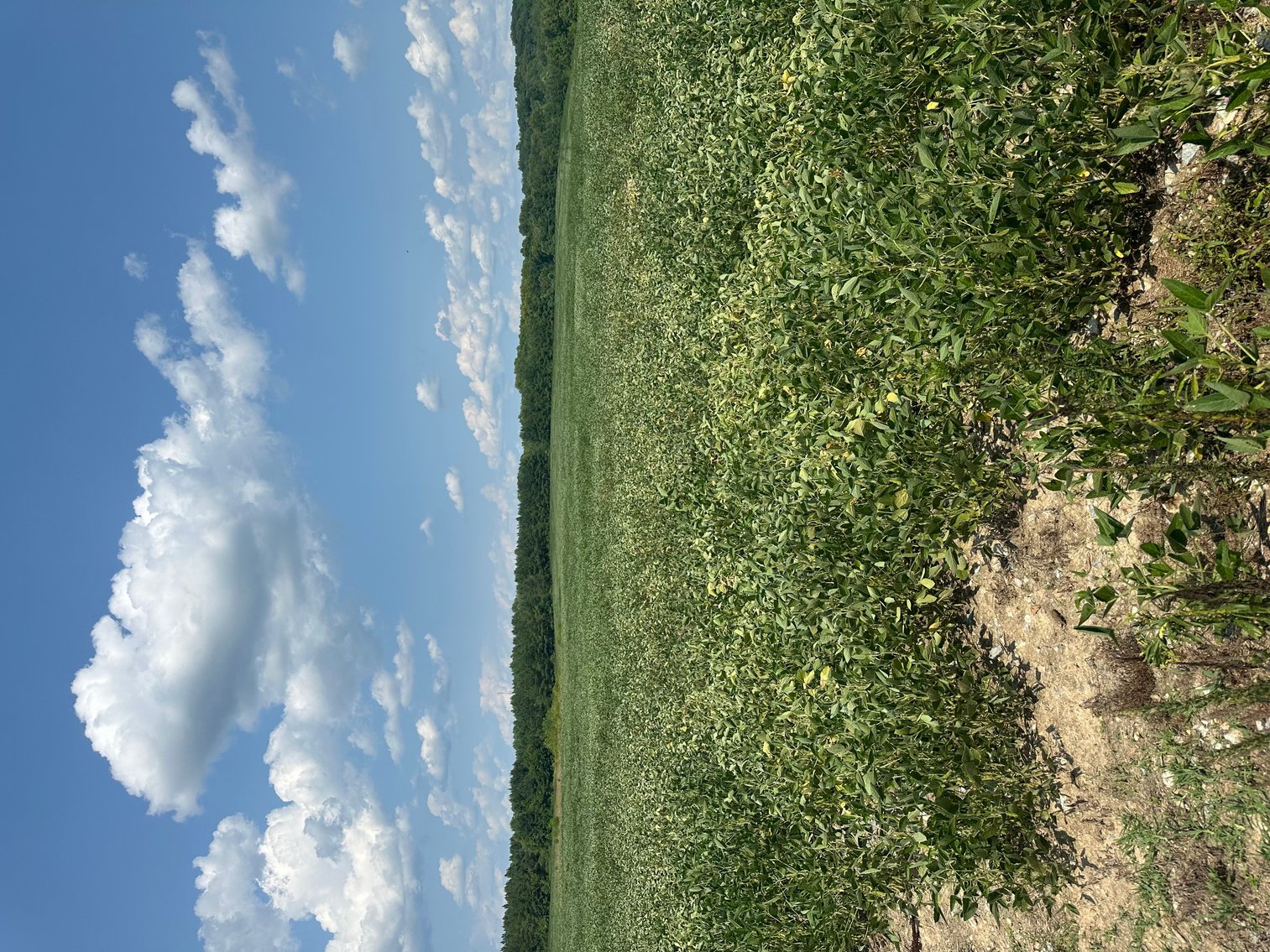 Image for 1,600 +/- Acres w/5 +/- Miles of South Anna River Frontage, 6 miles from I-64 & 30 Miles From Charlottesville & Short Pump, VA--Louisa County, VA