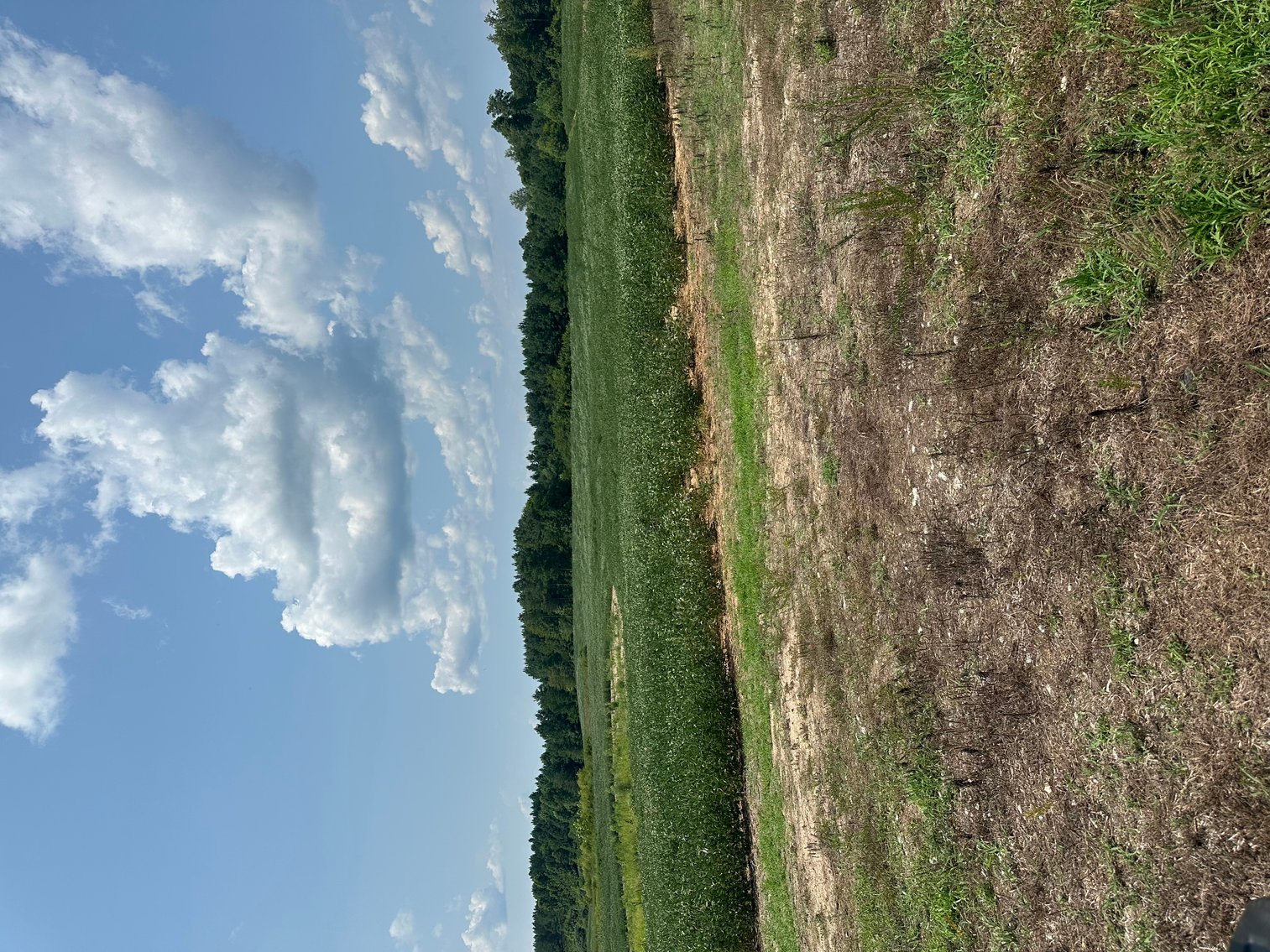 Image for 1,600 +/- Acres w/5 +/- Miles of South Anna River Frontage, 6 miles from I-64 & 30 Miles From Charlottesville & Short Pump, VA--Louisa County, VA