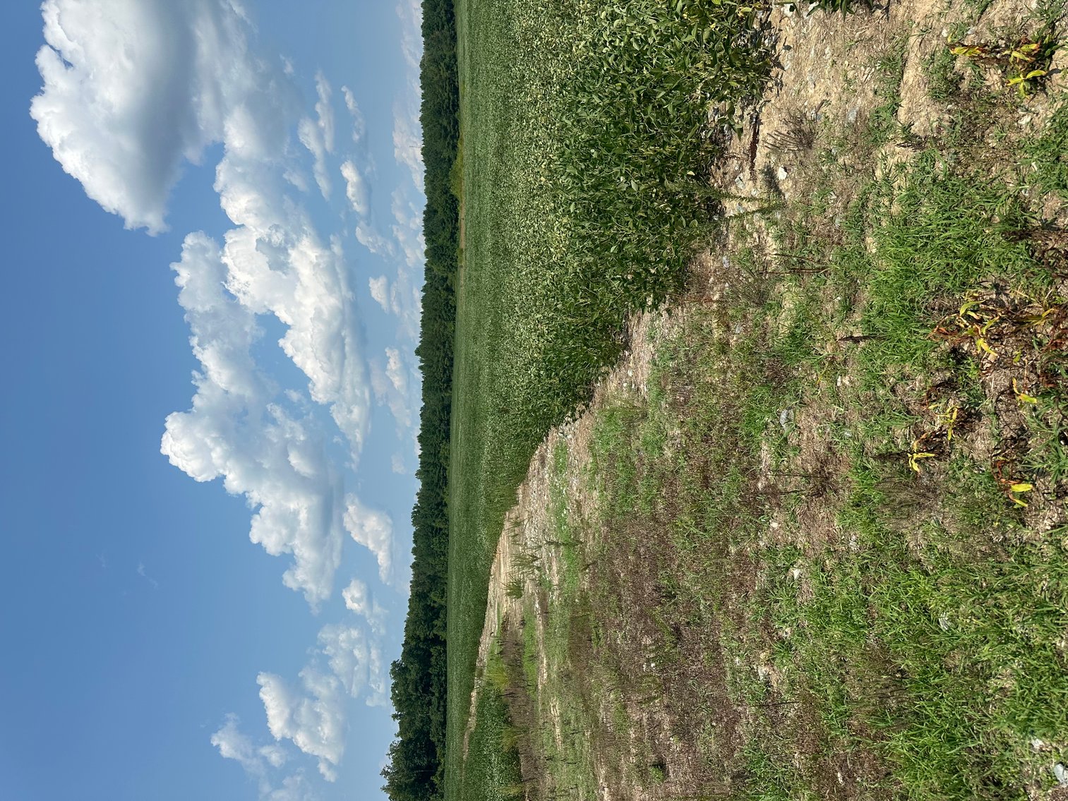 Image for 1,600 +/- Acres w/5 +/- Miles of South Anna River Frontage, 6 miles from I-64 & 30 Miles From Charlottesville & Short Pump, VA--Louisa County, VA