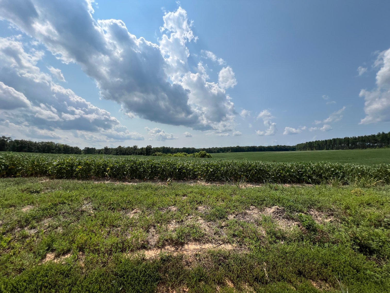 Image for 1,600 +/- Acres w/5 +/- Miles of South Anna River Frontage, 6 miles from I-64 & 30 Miles From Charlottesville & Short Pump, VA--Louisa County, VA