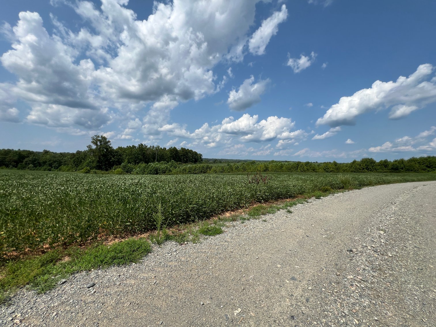 Image for 1,600 +/- Acres w/5 +/- Miles of South Anna River Frontage, 6 miles from I-64 & 30 Miles From Charlottesville & Short Pump, VA--Louisa County, VA