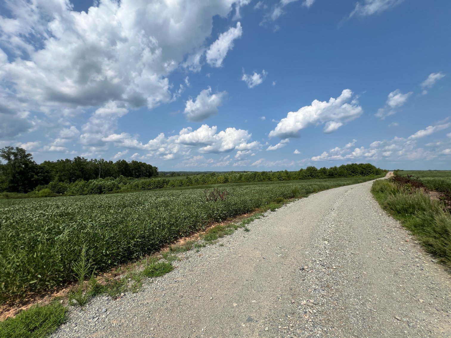 Image for 1,600 +/- Acres w/5 +/- Miles of South Anna River Frontage, 6 miles from I-64 & 30 Miles From Charlottesville & Short Pump, VA--Louisa County, VA