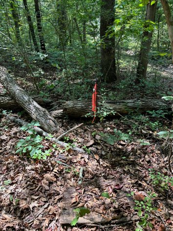 Image for 6.48 +/- Acre Land Parcel w/430' +/- of Passage Creek Frontage in Warren County, VA--ONLINE ONLY BIDDING!!