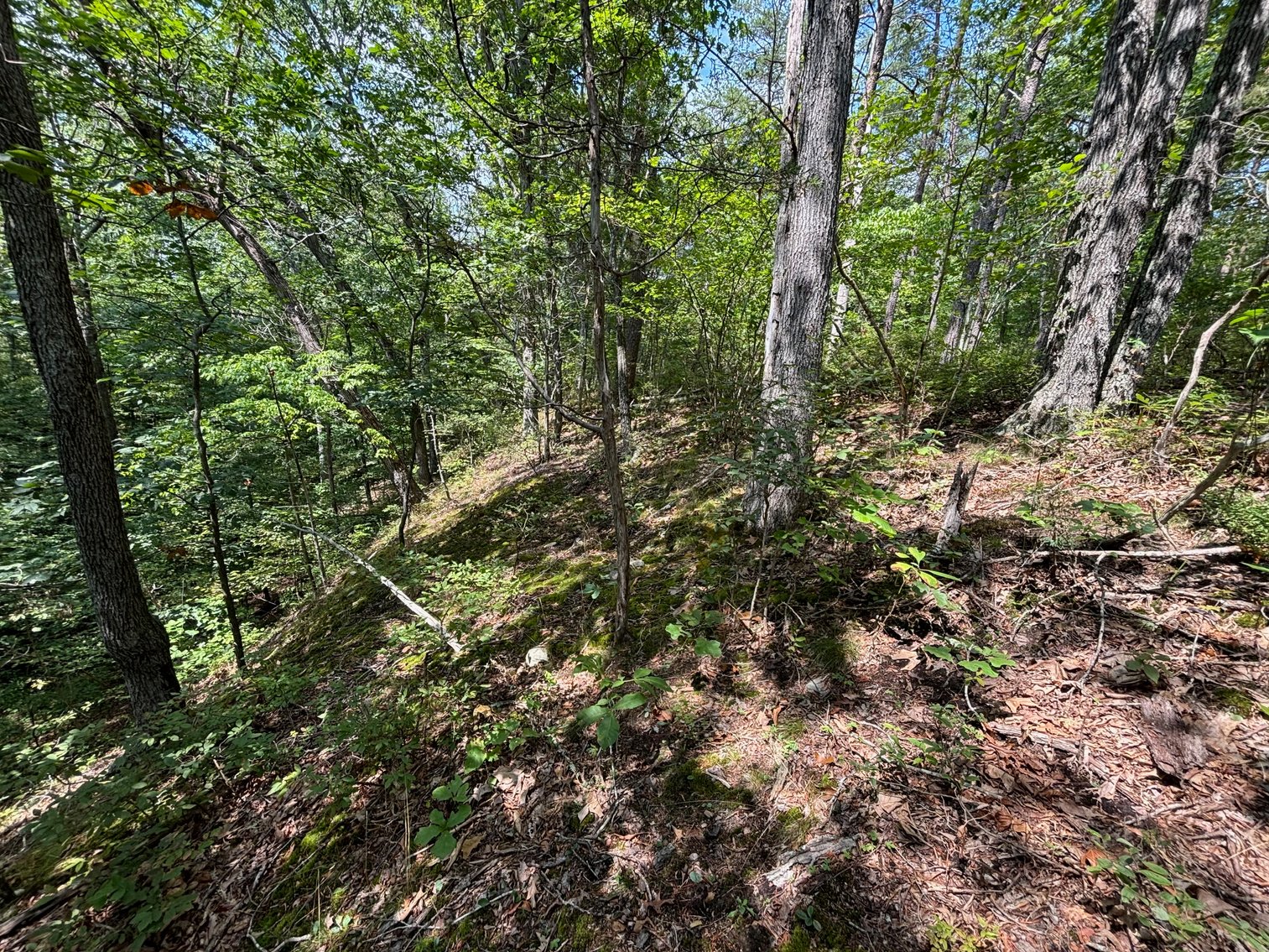 Image for 6.48 +/- Acre Land Parcel w/430' +/- of Passage Creek Frontage in Warren County, VA--ONLINE ONLY BIDDING!!