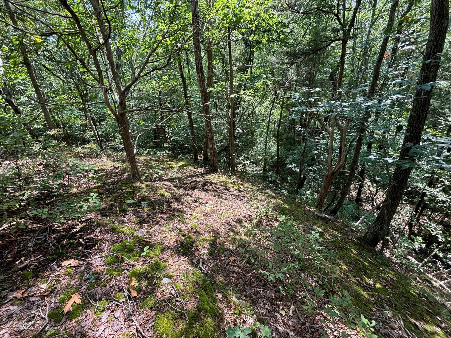 Image for 6.48 +/- Acre Land Parcel w/430' +/- of Passage Creek Frontage in Warren County, VA--ONLINE ONLY BIDDING!!