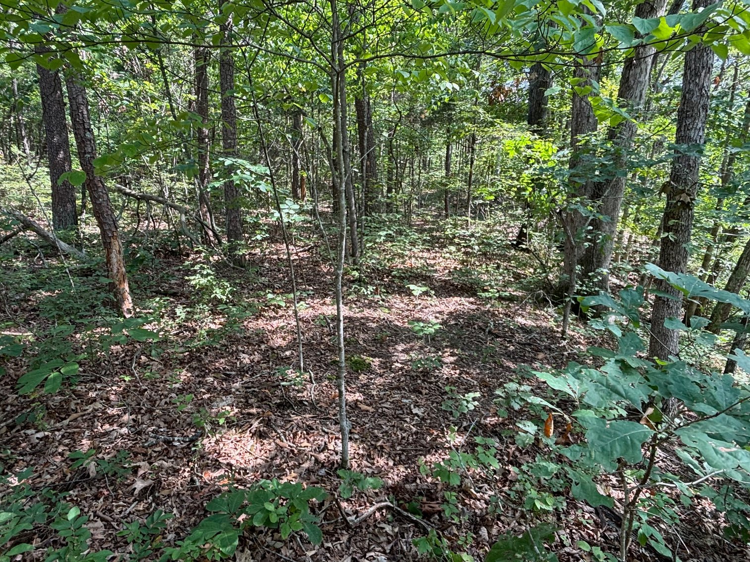 Image for 6.48 +/- Acre Land Parcel w/430' +/- of Passage Creek Frontage in Warren County, VA--ONLINE ONLY BIDDING!!