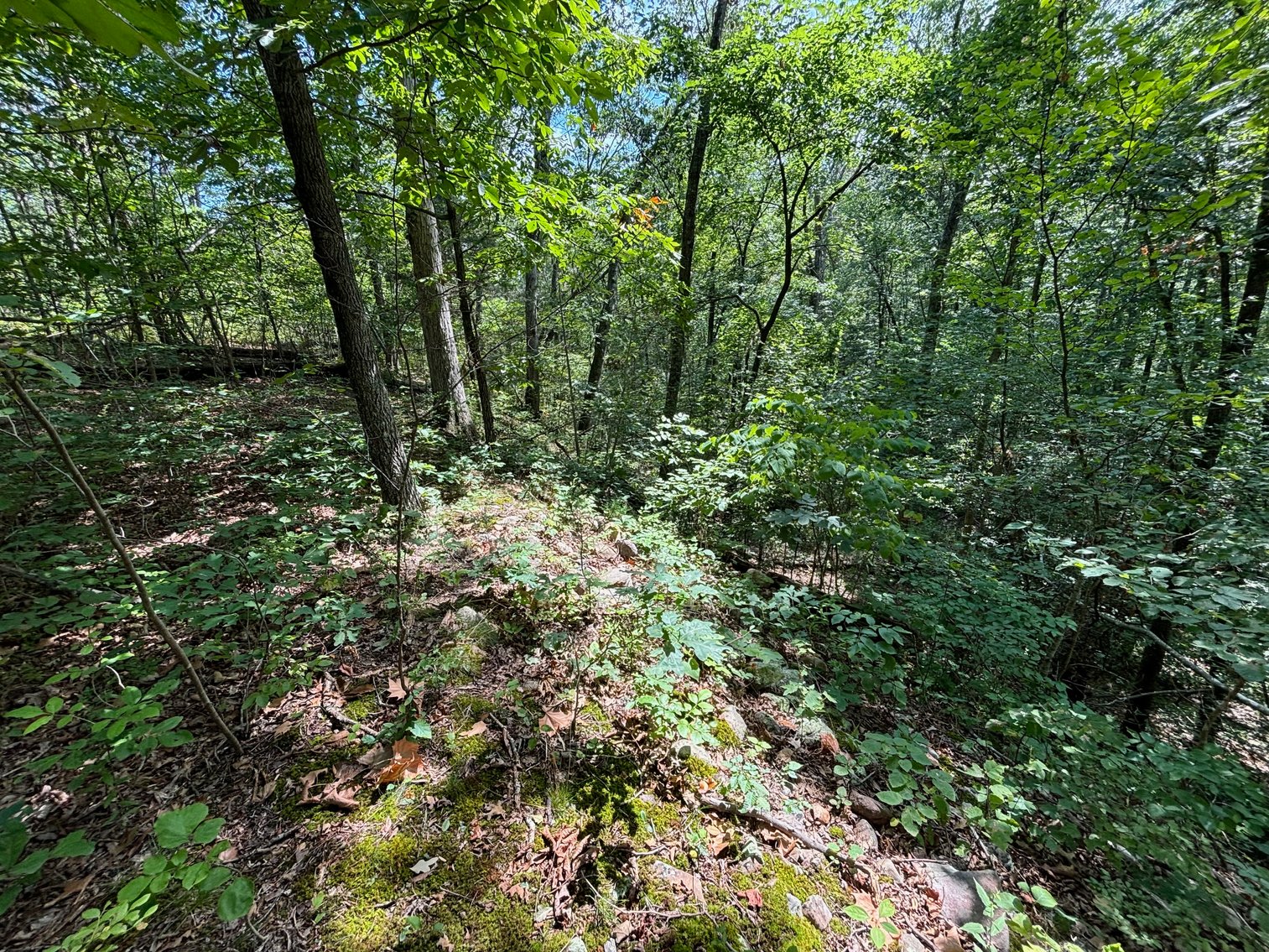 Image for 6.48 +/- Acre Land Parcel w/430' +/- of Passage Creek Frontage in Warren County, VA--ONLINE ONLY BIDDING!!