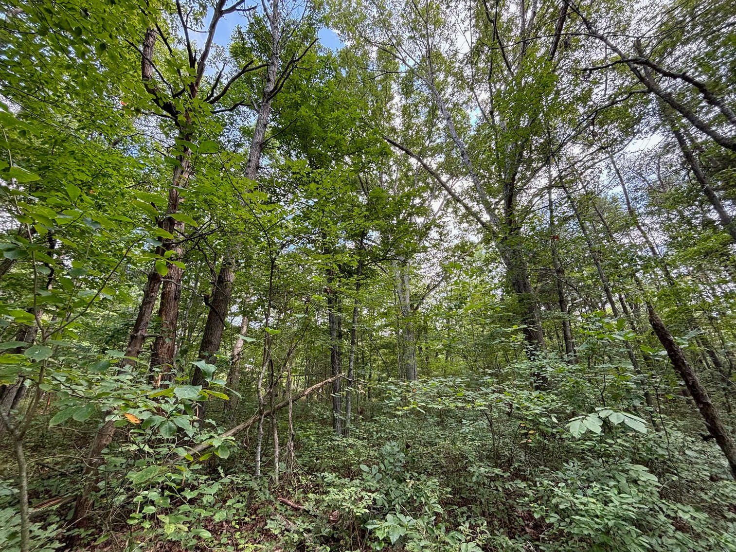 Image for 6.48 +/- Acre Land Parcel w/430' +/- of Passage Creek Frontage in Warren County, VA--ONLINE ONLY BIDDING!!