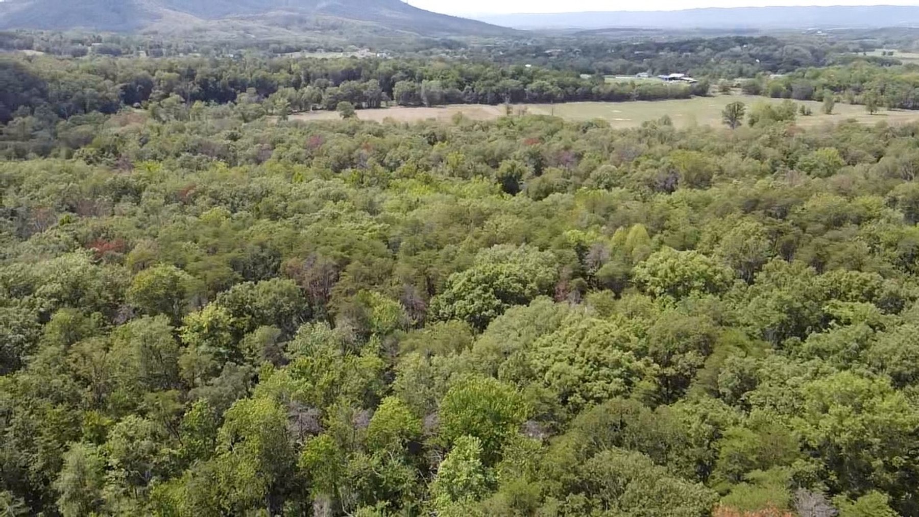 Image for 6.48 +/- Acre Land Parcel w/430' +/- of Passage Creek Frontage in Warren County, VA--ONLINE ONLY BIDDING!!