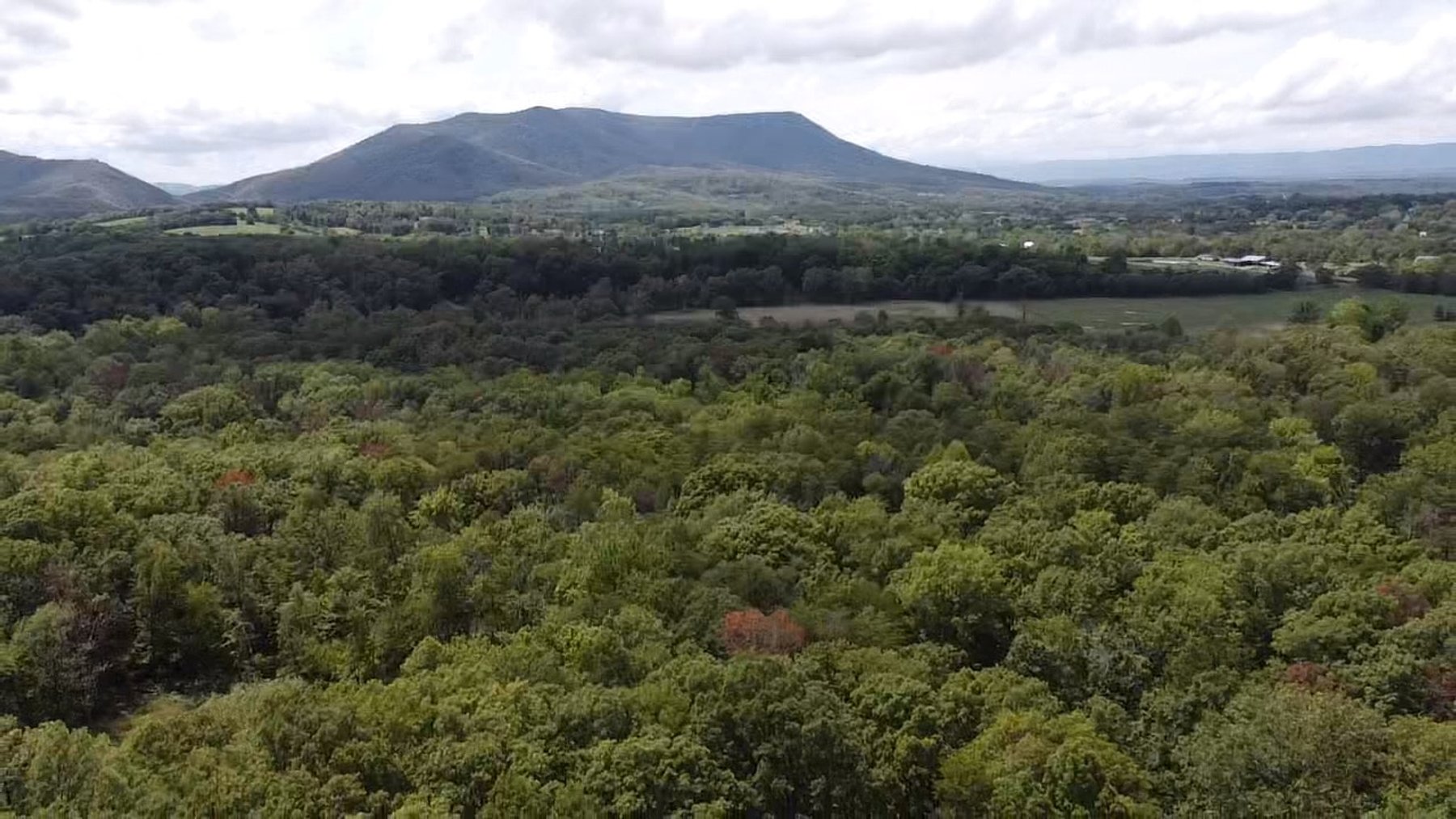 Image for 6.48 +/- Acre Land Parcel w/430' +/- of Passage Creek Frontage in Warren County, VA--ONLINE ONLY BIDDING!!