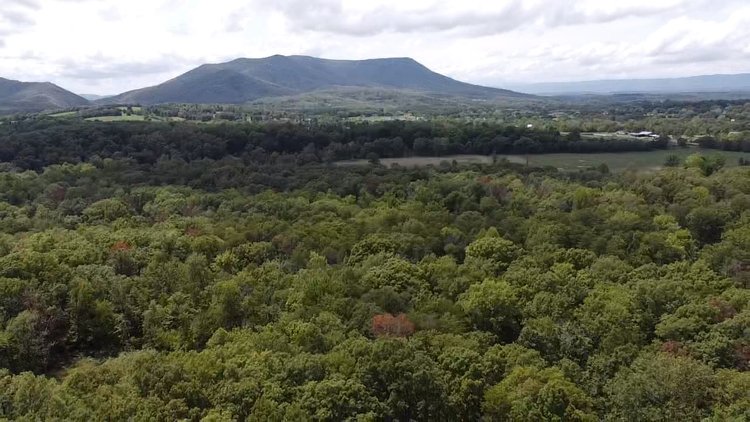 Image for 6.48 +/- Acre Land Parcel w/430' +/- of Passage Creek Frontage in Warren County, VA--ONLINE ONLY BIDDING!!