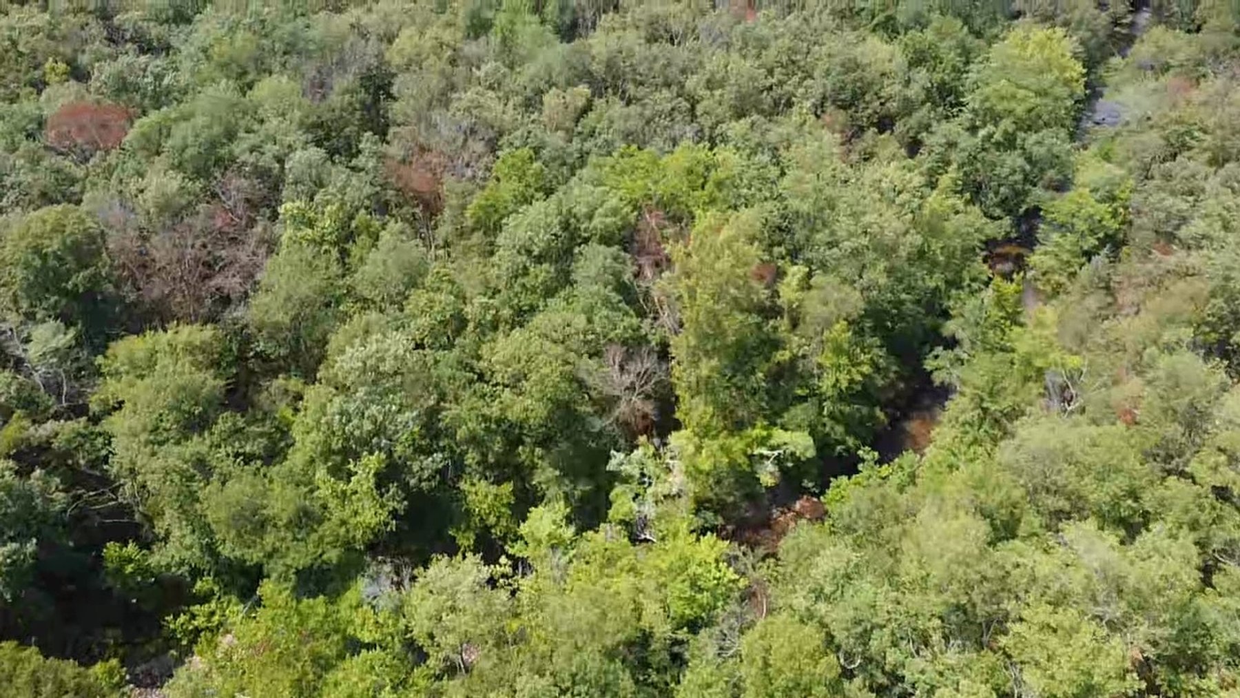 Image for 6.48 +/- Acre Land Parcel w/430' +/- of Passage Creek Frontage in Warren County, VA--ONLINE ONLY BIDDING!!