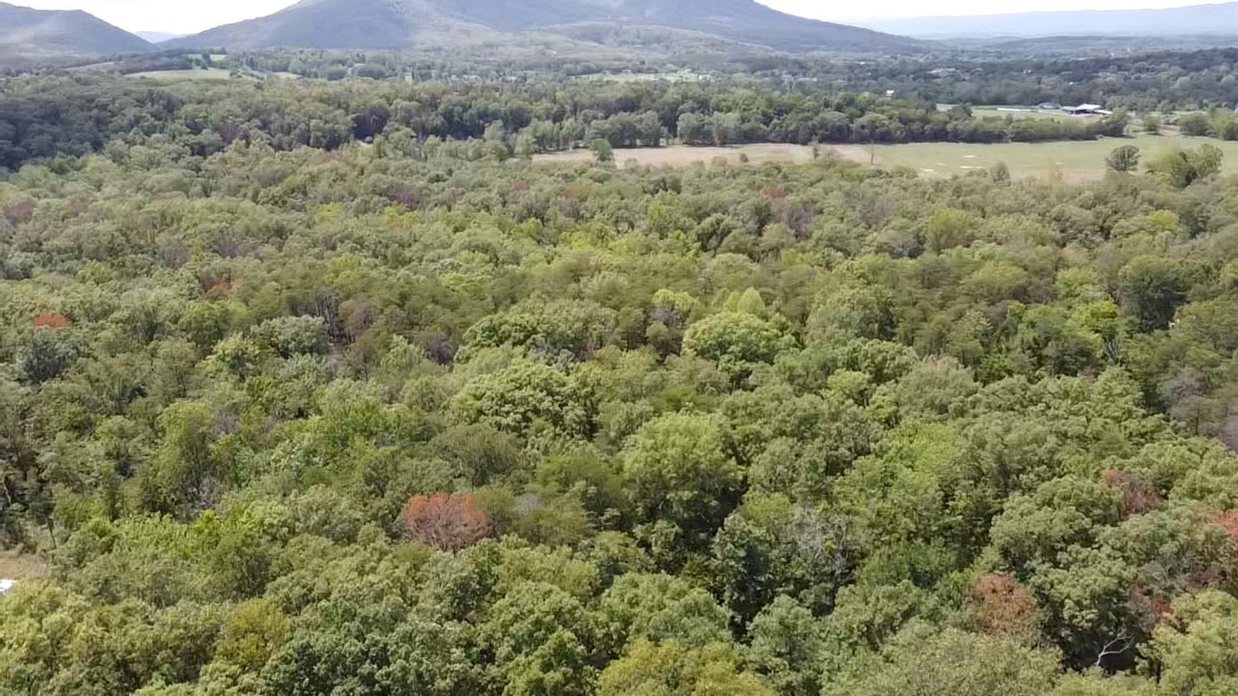 Image for 6.48 +/- Acre Land Parcel w/430' +/- of Passage Creek Frontage in Warren County, VA--ONLINE ONLY BIDDING!!